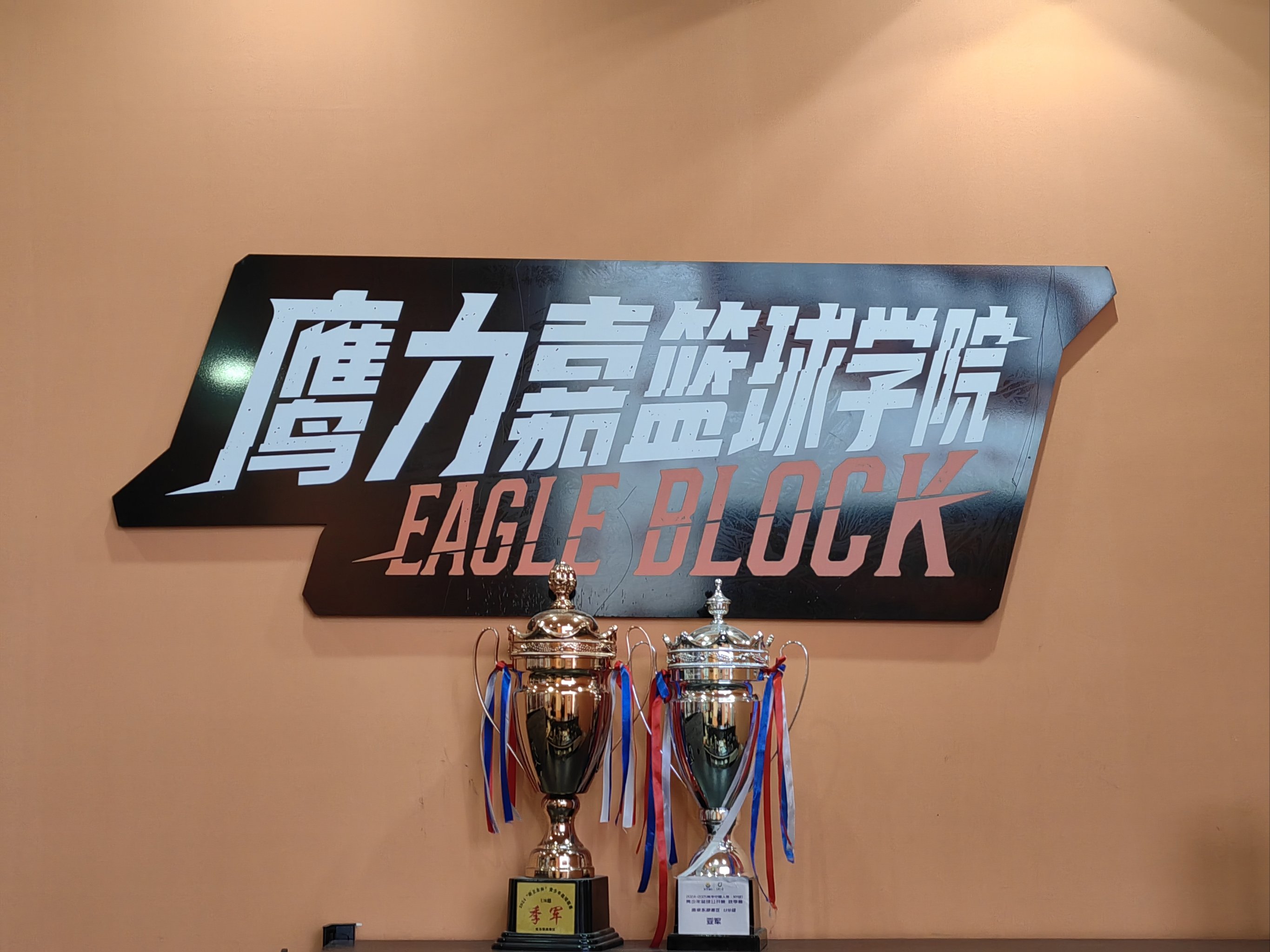 包含米兰体育：中国篮球国际训练营，提升技能拓展视野的词条