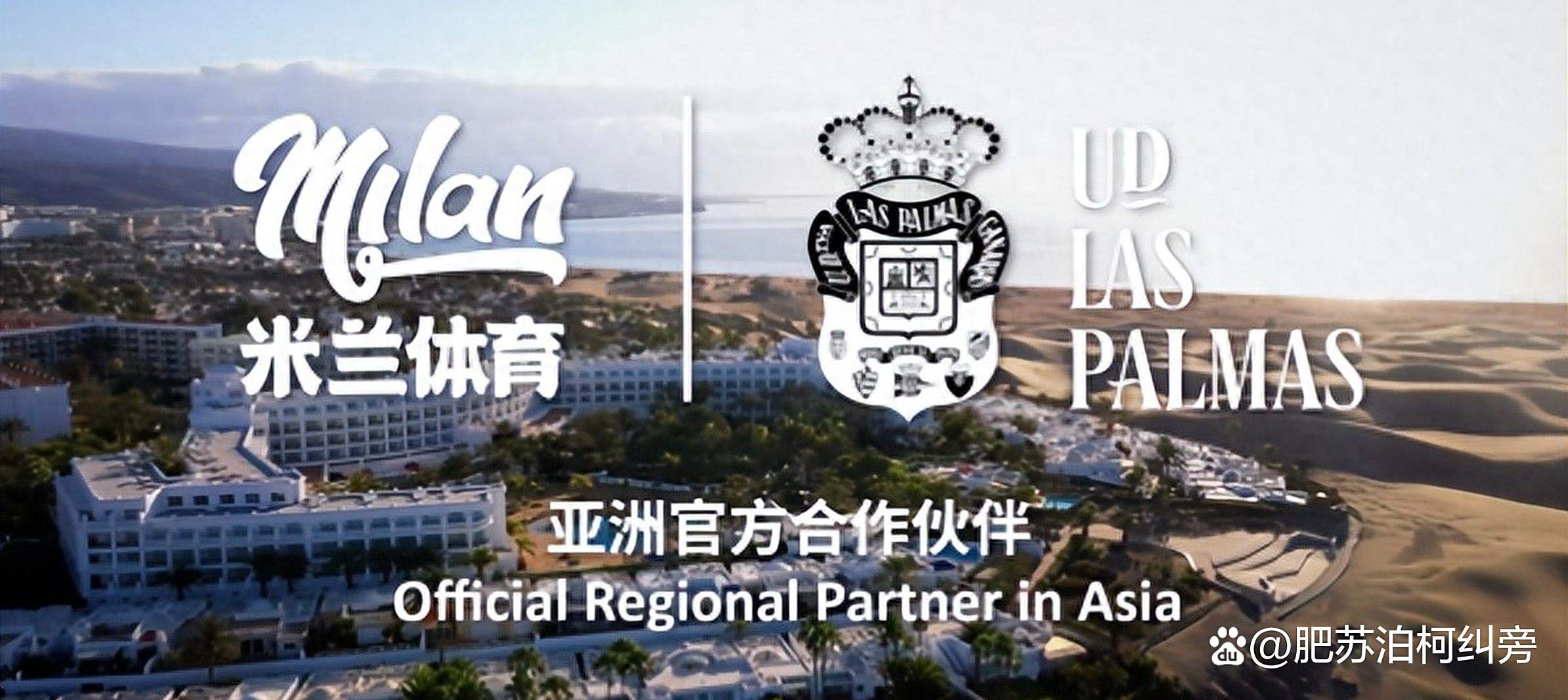 包含米兰体育:体育改革，激发体育发展活力的词条